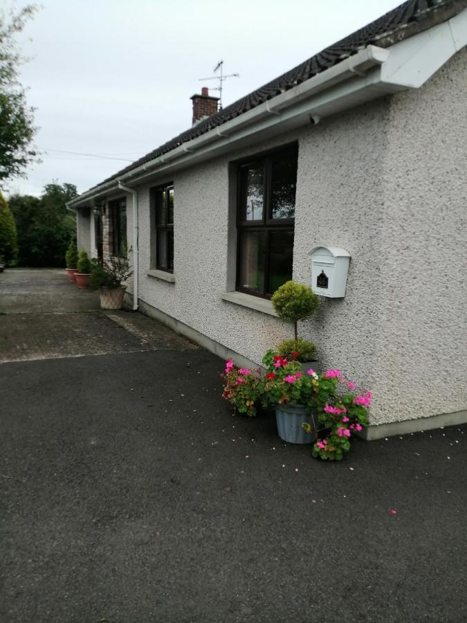 Lynn'S Lodge, International Airport 15Mins Randalstown Exteriör bild