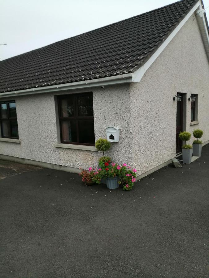 Lynn'S Lodge, International Airport 15Mins Randalstown Exteriör bild